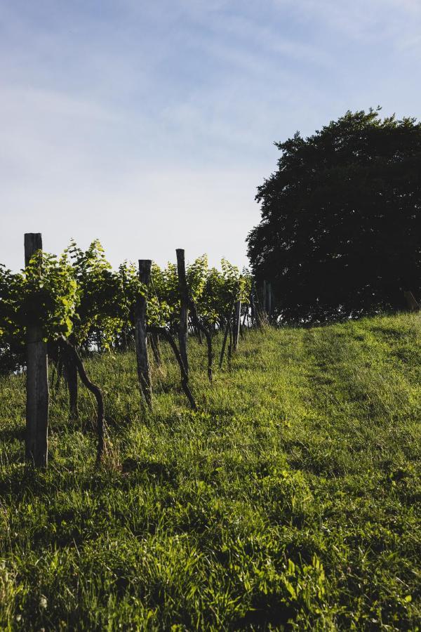 Weingut Peter Grill Bed & Breakfast Leutschach Luaran gambar